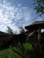 /album/kepgaleria-nyar-/a63882-133175496730587-3746380-n-jpg1/